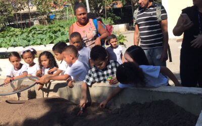 Parque Ecológico da Maré: Fortalecendo a Educação Ambiental e o Sentimento de Pertencimento